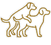 J0