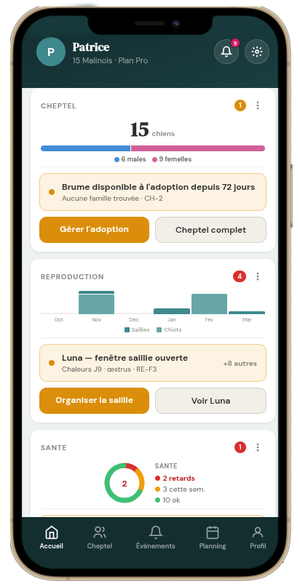 Interface AnimaBreed